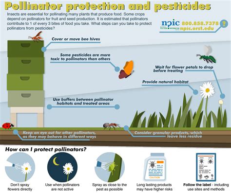 34 Epa Pesticide Label Database - Labels Design Ideas 2020