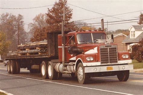 White Western Star Early Early Western Star That Looks J Flickr