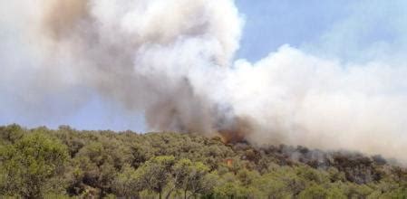 Detenido El Presunto Autor De Dos Incendios Forestales De Este Junio En