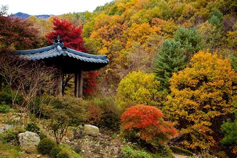 Autumn Activities For Visit Korea Year 2023 2024