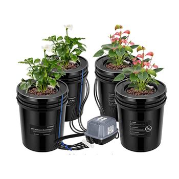 4 Bucket Rdwc Dutch Bucket Hydroponic System Buy Hydroponic System