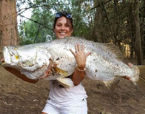 Big Fishes Of The World Barramundi Lates Calcarifer