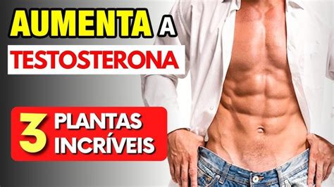 S Por Dia Para Aumentar Testosterona Naturalmente Receitas Genial