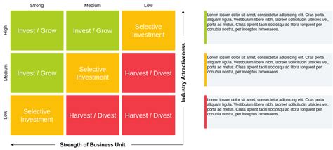 GE McKinsey Template GE McKinsey Matrix Example