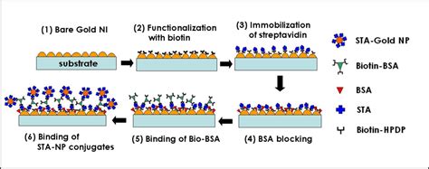 Sensors Free Full Text Detection Of Biomolecular Binding Through