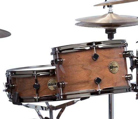 Ddrum Paladin Walnut Speakeasy Natural Walnut Piece Drum Reverb