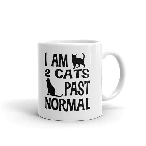 I Am 2 Cats Past Normal Crazy Lady Coffee Tea Ceramic Mug Office Work Cup T Ebay