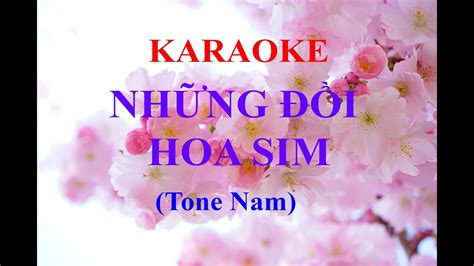 Video Karaoke Nh Ng I Hoa Sim Tone Nam Youtube