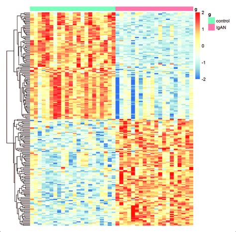 Heatmap Of The Top 200 Differentially Expressed Genes Degs Screened