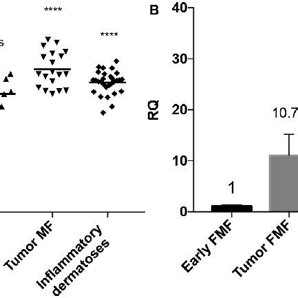 Clinicopathological Presentations Of Folliculotropic Mycosis Fungoides