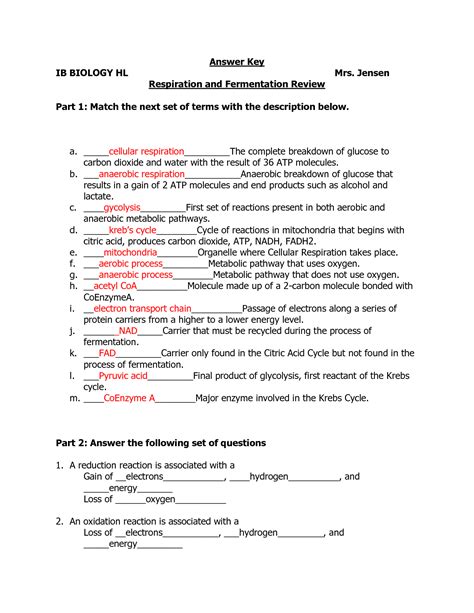 Male Reproductive Worksheet Printable Worksheets And Activities For