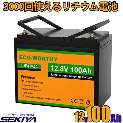 3000回使える 100ah リチウムイオンバッテリー 12v 1280wh バッテリー リン酸鉄 リチウム電池 Lifepo4 ディープサイクル Ecoworthy Sekiya