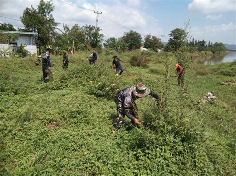 Sektor 5 Citarum Harum Sub 1 Bersihkan Semak Belukar Di Sekitar