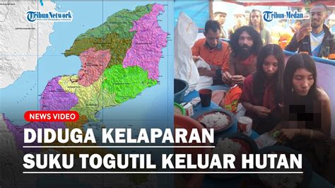 VIRAL Suku Togutil Diduga Keluar Hutan Karena Kelaparan Muncul Di Area