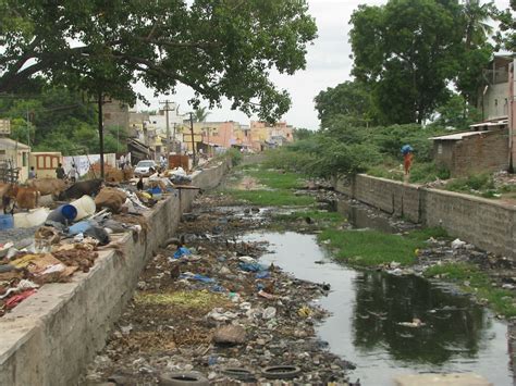 india sights culture garbage filled canal    flickr