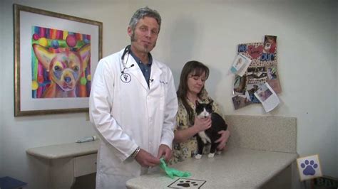 Animal Health Hospital How To Express Your Pets Anal Glands Youtube