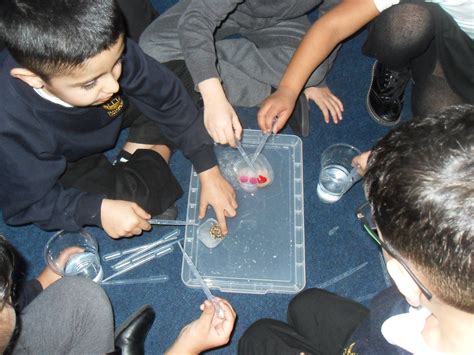 Frozen treasure! – St Clements C of E Academy