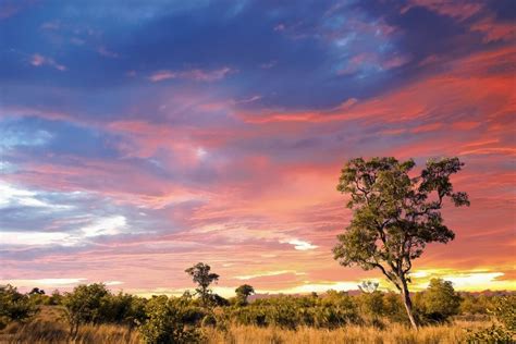 Kruger National Park