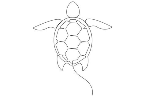 Sea Turtle Outline Vector Art Icons And Graphics For Free Download