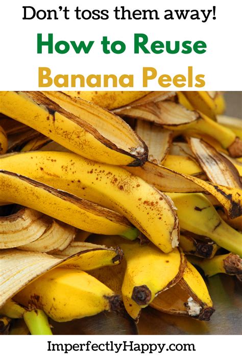 How To Make Banana Peel Fertilizer A Complete Step By Step Guide Artofit