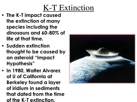 What Is Mass Extinction Ppt Download