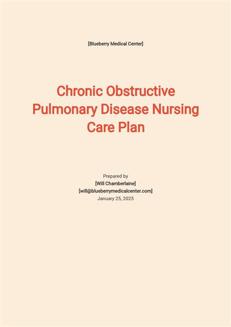 Blank Nursing Care Plan Template Free PDF Google Docs Word Apple