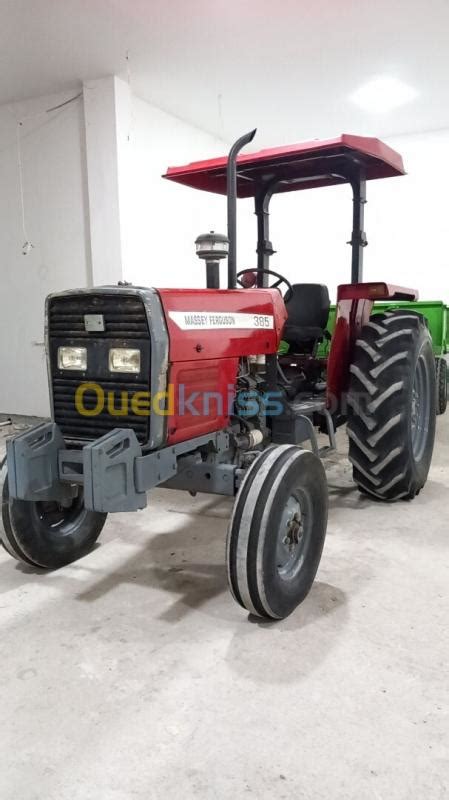 Pakistan Massey Ferguson 385 2019 Oum El Bouaghi Ain Beida Ouedkniss