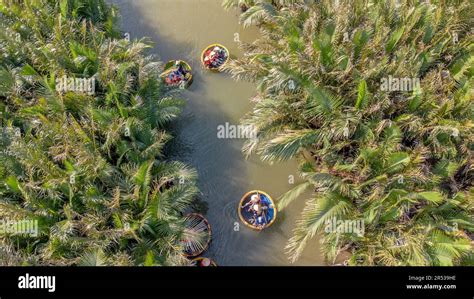 Aerial View Of A Coconut Basket Boat Tour At The Palms Forest In Cam