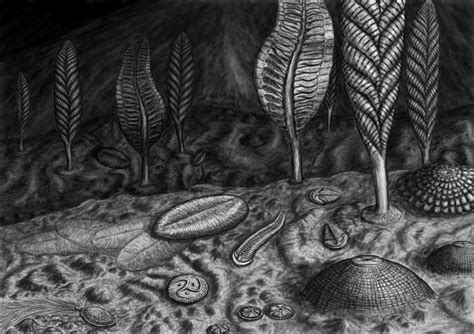 The Ediacaran biota by Typothorax on DeviantArt