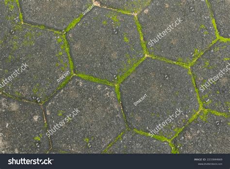 grasscrete images stock  vectors shutterstock