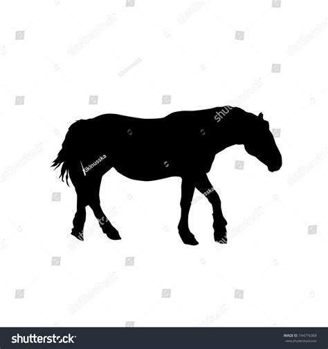 Horse Vector Black Silhouette Side Isolated Stock Vector (Royalty Free ...