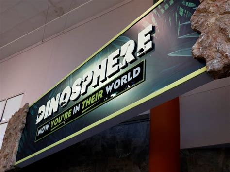 A look into the revamped dinosphere exhibit at the Children's Museum of ...