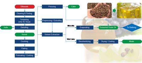 grape seed oil extraction process