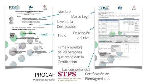 Certificaci N Con Validez En Biomagnetismo Youtube