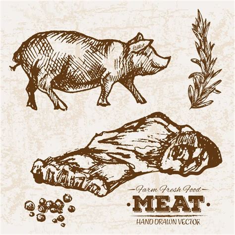 Hand Drawn Sketch Steak Meat Products Set Sausages Salami Pig Stock