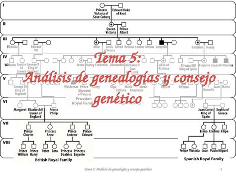 PPTX Tema 5 Análisis de genealogías y consejo genético DOKUMEN TIPS