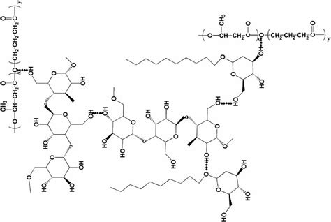 Schematic diagram of hydrogen bonding. | Download Scientific Diagram