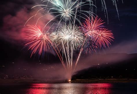 Per I Botti Di Ferragosto Non Lasciate I Vostri Cani Da Soli I