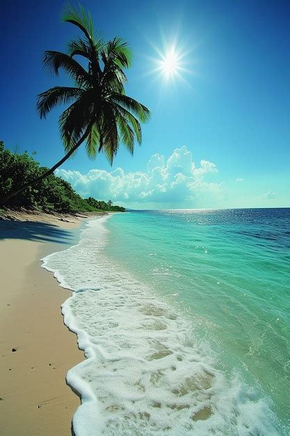 Premium Photo Beautiful Tropical Beach With Coconut Trees