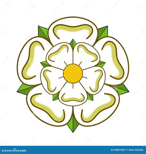 White Rose of York stock vector. Illustration of historical - 208075051