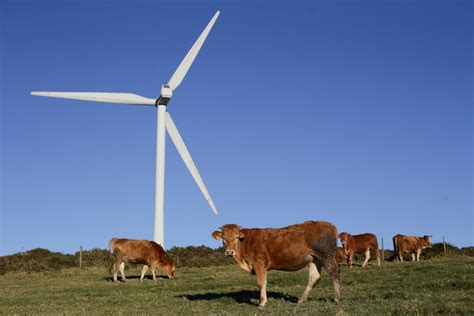 Declaraci N De Impacto Ambiental Favorable Para El Parque E Lico