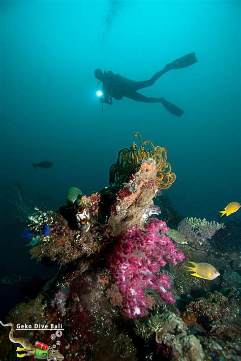 Scuba Dive The Usat Uss Liberty Shipwreck In Tulamben Bali