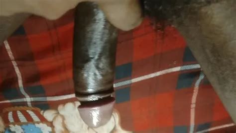 Indian Big Black Cock Gets Horny XHamster