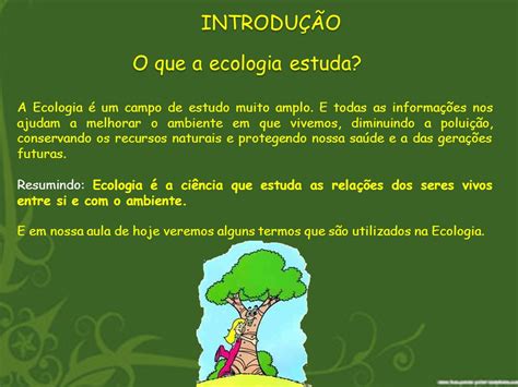 A Ecologia Estuda O Que - Introdução à Ecologia – Conceitos Básicos | Mundo Ecologia