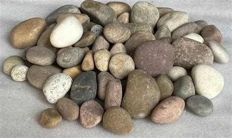 River Pebble At Best Price In India