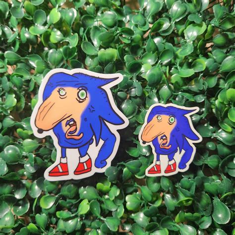 Sanic The Hedge Sonic Waterbottle Sticker Etsy