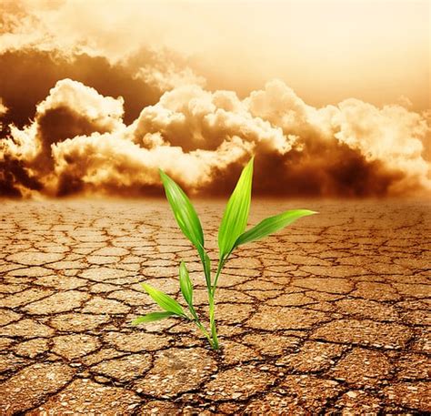 Causes and Effects of Soil Pollution - Conserve Energy Future