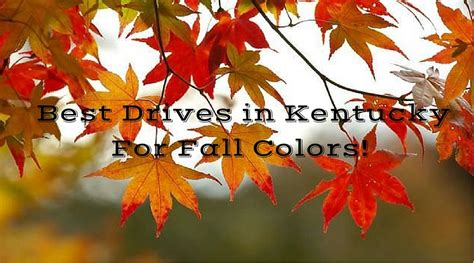 Best Drives in Kentucky for Fall Colors - Kentucky Family Fun