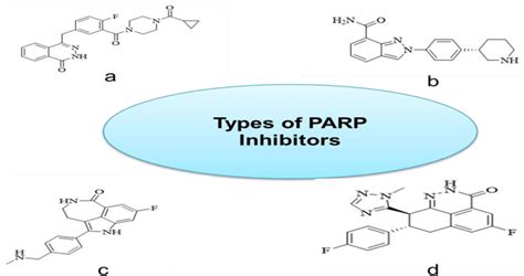 Types of PARP inhibitors a Olaparib, b Niraparib, c Rucaparib, d ...