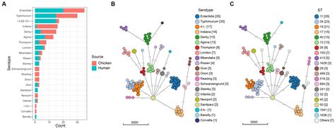 Frontiers Genomic Characterization Of Salmonella Isolated From Retail